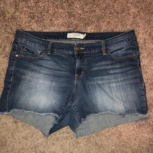 TORRID SHORTS